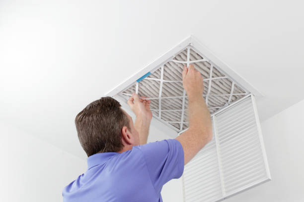 Best Dryer Vent Cleaning Services  in Des C, AR